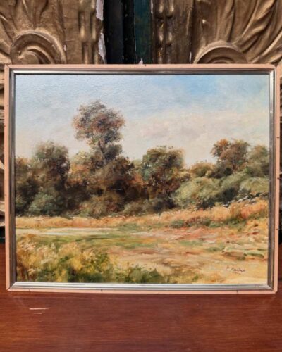 Paisaje naturalista de Patricio Flaño