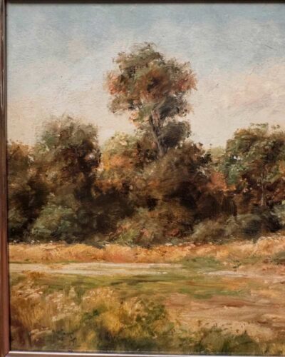 Paisaje naturalista de Patricio Flaño